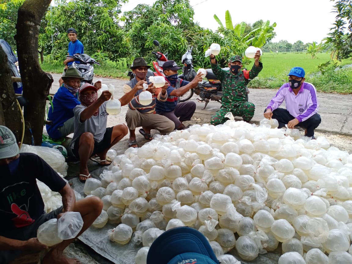 Babinsa Dukun Kreatif Meningkatkan Ekonomi Masyarakat Dengan Budidaya