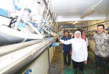 Kejar Target Jatim Swasembada Susu Gubernur Khofifah Dorong