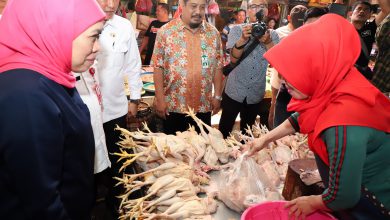 Photo of Tinjau Pasar Surabaya dan Sidoarjo, Gubernur Khofifah Pastikan Stok dan Harga Bahan Pokok Aman dan Stabil