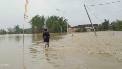 Photo of Banjir di Sedapurklagen, Benjeng, Petani Terancam Tidak Bisa Tanam