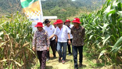 Photo of Dirut Petrokimia Menyapa Petani, Di Padang Sumatera Barat