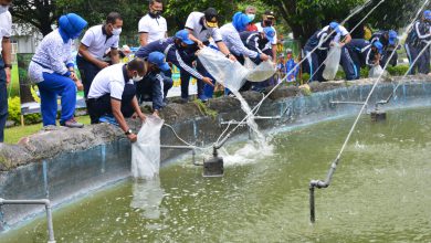 Photo of Di Era Pandemi Covid-19, AAL Sebar Ribuan Benih Ikan Dukung Program Ketahanan Pangan