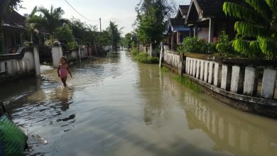 Photo of Banjir Desa Banjaragung Kali ini Menggenangi Rumah Di dua RT dan Puluhan Ha Sawah, tanaman Padi Dan Kangkung