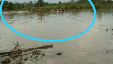 Photo of Dua Bocah Tewas Tenggelam di Bantaran Sungai Kalilamong, Desa Sekarputih
