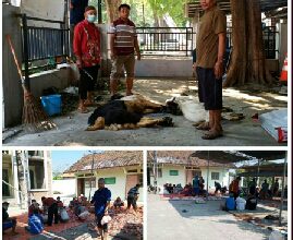 Photo of Kasi Kesra :  Alhamdulilah Ditengah Pandemi Covid-19 Dusun Kalipang Masih Banyak Warga Berkorban