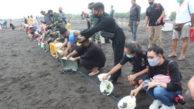 Photo of Komandan Lanal Banyuwangi Bersama BBKSDA Jatim Lepas 581 Tukik
