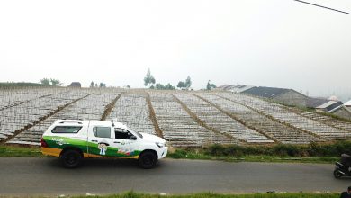 Photo of BUMNKerjaDariHatiRahmad Pribadi : Petrokimia Gresik Perluas Jangkauan Layanan Mobil Uji Tanah Untuk Petani