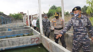 Photo of Lanal Yogyakarta Lanjutkan Program Ketahanan Pangan Budidayakan Ikan Lele