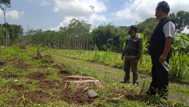 Photo of Perhutani Tidak Peduli terhadap masyarakat lingkungan Hutan ‘Gunduli Sono keling’ Hutan Candipuro, Sumber Air Mati Warga Mengeluh