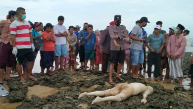 Photo of Geger, Sesosok Mayat Di Temukan Tertelungkup Di Pinggir Pantai