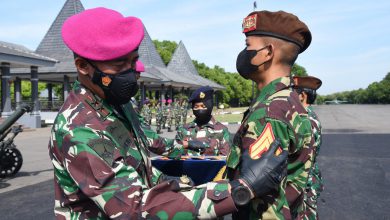 Photo of Selamat, 351 Taruna Akademi TNI Angkatan Laut Naik Pangkat dan Tingkat