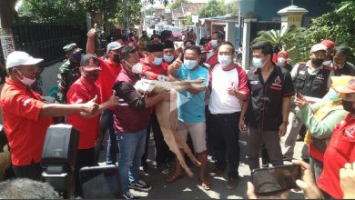 Photo of Motivasi Peserta Vaksin PDI- P Sediakan 5 Ekor Kambing