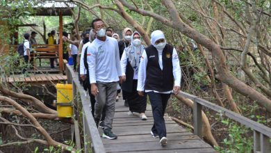 Photo of Tahan Laju Perubahan Iklim, Gubernur Khofifah Ajak Semua Komponen Gotong Royong Kebut Restorasi Mangrove