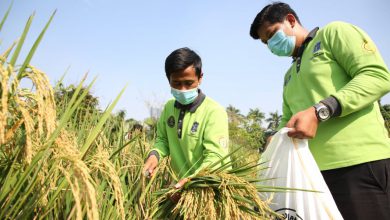 Photo of Pemkot Surabaya Berdayakan Nelayan Menjadi Petani