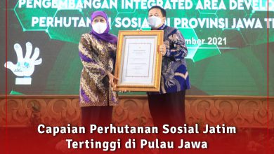 Photo of Perhutanan Sosial Jatim Tertinggi di Pulau Jawa, Gubernur Khofifah Raih Penghargaan sebagai Pembina Pemberdayaan Masyarakat Perhutanan Sosial dari KLHK