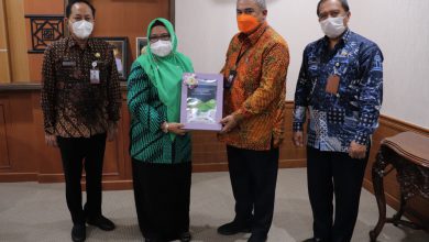 Photo of Kabupaten  Gresik Jadi Salah Satu Penerima Kapabilitas Apip Level 3 Se Indindonesi