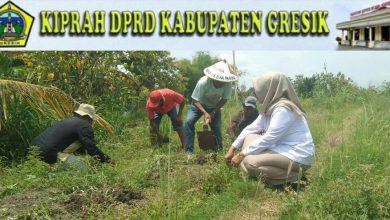 Photo of Petani Gresik Selatan Wadul Kepada Wakil Ketua DPRD Dari Gerindra Nur Saidah