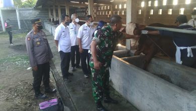 Photo of Pemprov Jatim Terjun Langsung Vaksinasi PMK Di Brangkal Kecamatan Balongpanggang