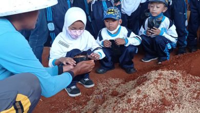 Photo of Edukasi Siswa, Sekolah di Gresik Ajak Menanam Pohon