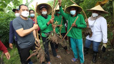 Photo of Program Padat Karya Surabaya Jadi Percontohan dalam Penanggulangan Kemiskinan