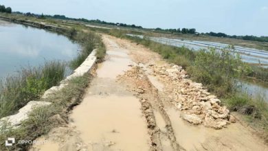 Photo of Lama Tidak Tersentuh Perbaikan Kondisi Jalan Penghubung Antar Desa Mirip Lintasan Off Road