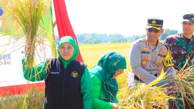 Photo of Gubernur Khofifah Harapkan Produktivitas Pertanian Selaras dengan Kesejahteraan Petani