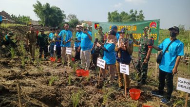 Photo of Program Pembinaan Lingkungan Hidup, Kodim 0817/Gresik Melaksanakan Penanaman Rumput Vetiver di Bantaran Sungai Kali Lamong