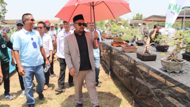 Photo of Festival Tanaman Hias Bupati Gresik Cup 2023, Gaungkan Potensi Tanaman Hias Hingga Skala Internasional