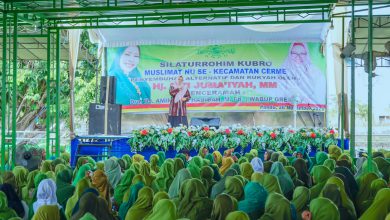 Photo of Hadiri Silaturahmi Kubro Muslimat NU Cerme, Bu Min Bicarakan Stunting, UHC, Hingga Isu Lingkungan.