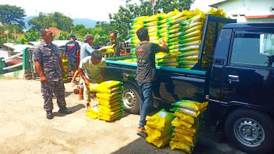 Photo of Antisipasi Kelangkaan Beras, Lanal Cilacap Bantu Bulog Awasi Dan Mendistribusikan Beras