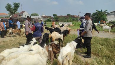 Photo of Jelang Idul Adha, Polisi Gresik Patroli Pasar Hewan Cegah Kriminalitas