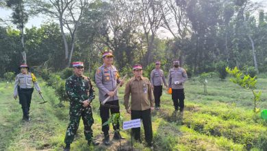 Photo of Dalam Rangka Peringati Hari Bhayangkara ke 78, Perhutani mengadakan Penanaman Bersama TNI/POLRI