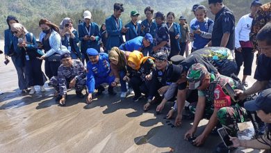 Photo of Joko Triono Dukung Acara Petik Laut di Pantai Jolosutro Ikut Lepaskan 200 Ekor Tukik hasil Konservasi KUB Nelayan