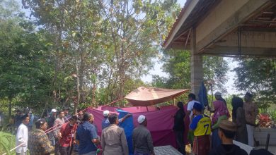 Photo of Di Duga Meninggal Tidak Wajar, Makam Seorang Wanita Di Sampang Di Bongkar