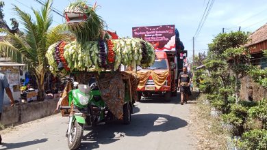 Photo of Desa Karanglo Gelar Pawai Karnaval untuk Memperingati HUT RI Ke-79 dan Selamatan Desa