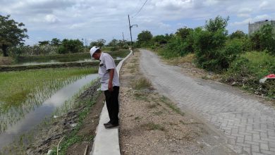 Photo of Pemdes Semampir Bangun TPT, Lancarkan Ekonomi Masyarakat dan Akses Lintas Antar Dusun