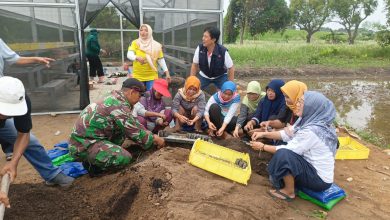 Photo of Pendampingan Babinsa Driyorejo Bersama Kelompok Tani Wanita Tanam Kangkung