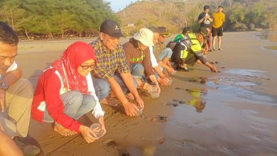 Photo of KKPH Blitar, Pelepasan Tokik DI Pantai Serang Sebagai Bentuk Kepedulian Masyarakat Terhadap Pelestarian Satwa