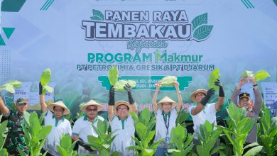 Photo of Petrokimia Gresik Bersama  PT Djarum  Sukses  Tingkatkan  Produktivitas  Petani  Tembakau Dalam Program  MAKMUR Di  Grobogan