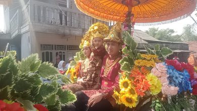 Photo of Naik Kereta Kuda, Kades Mojowuku Aji Prawiro Pimpin Karnaval Peringatan HUT RI ke-79 Desa Mojowuku