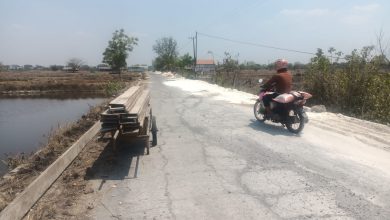 Photo of Permudah Akses Pertanian Pemdes Palebon Revitalisasi Jalan Desa Antar Kabupaten