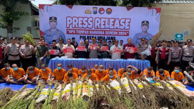 Photo of Polres Lumajang Ungkap 16 Kasus Narkoba, Amankan 20 Tersangka Dan Ribuan Batang Pohon Ganja