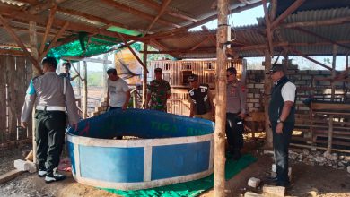 Photo of Giliran Lokasi Judi Sabung Ayam di Panceng Gresik Digrebek Polisi