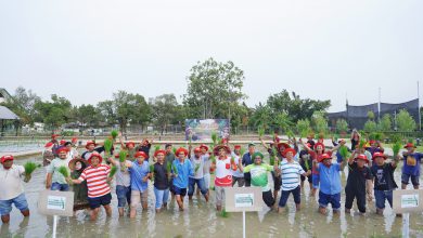 Photo of Momen Hari Pangan Nasional, Petrokimia Gresik Ajak Tekan Jurnalis Gresik Menjadi Pahlawan Pangan Nasional