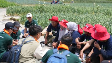 Photo of Dorong Pertanian Berkelanjutan, Milenial Petrokimia GresikGali Aspirasi Dan Kampanyekan Pemupukan Berimbang Di Sentra Pertanian Bawang Putih Tawangmangu