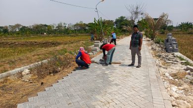 Photo of Pemerintah Desa Karangcangkring Dukun Tingkatkan Produktivitas Pertanian dengan Pavingisasi Jalan