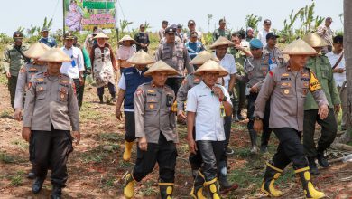 Photo of Wujudkan Swasembada Pangan, Polres Jombang Tanam Jagung di Lahan Kosong