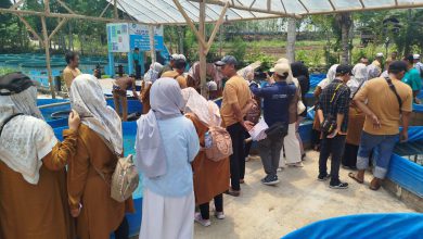 Photo of Maksimalkan Program Ketahanan Pangan, Pemdes Bunderan Sidayu Lakukan Pelatihan Budidaya Ikan Lele Dengan Metode Bioflok