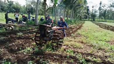 Photo of Koramil Randuagung Beri Pendampingan Insentif Pertanian Desa Pejarakan