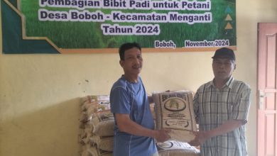 Photo of Wujudkan Ketahanan Pangan, Pemdes Boboh Bagikan Bibit Padi Pada 110 Petani